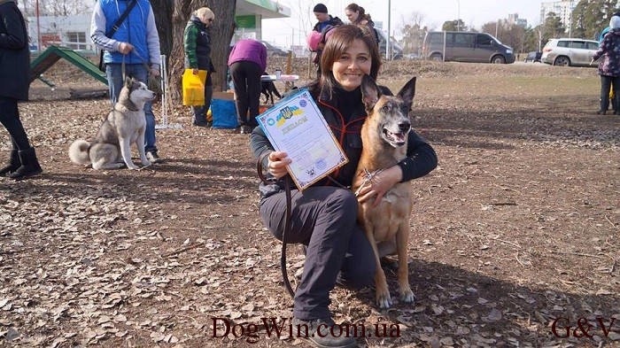 интруктор площадка DogWin