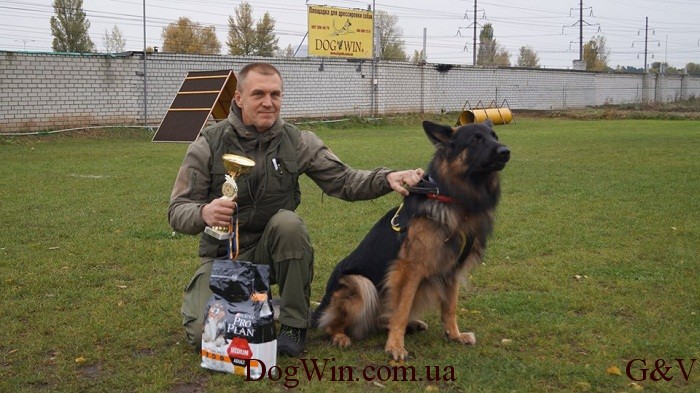 Рей соревнования ЗС и ОКД
