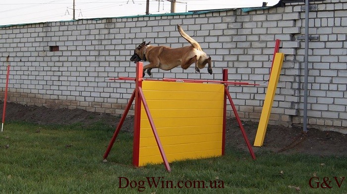 барьер площадка DogWin